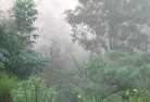 Coominglah Forestbali-style-landscaping-4.jpg; ?>